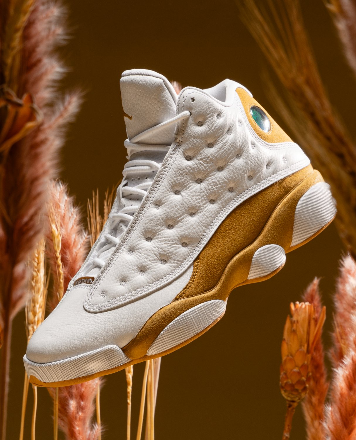 Jordan 13
