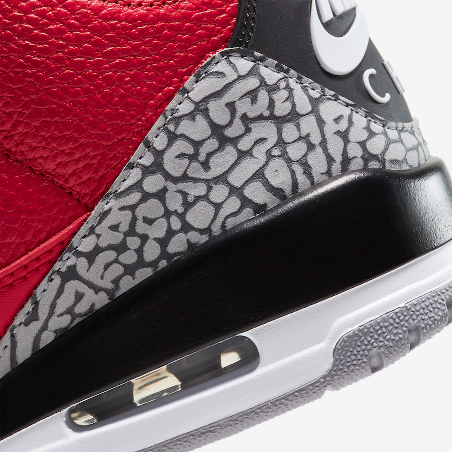 Jordan 3 Retro SE Unite (Chicago Exclusive) - Vista 8