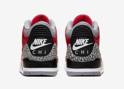 Jordan 3 Retro SE Unite (Chicago Exclusive) - Vista 5